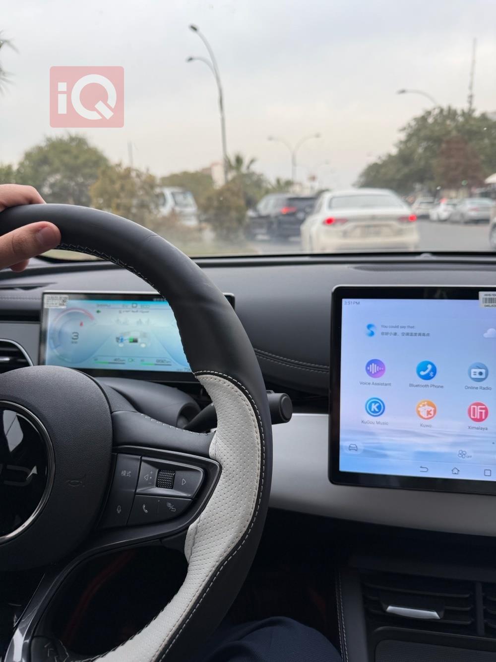 بي واي دي سيل 06 DM-i